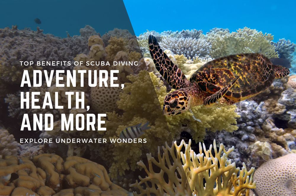 Discover The Top Benefits Of Scuba Diving: Adventure, Health, And More!