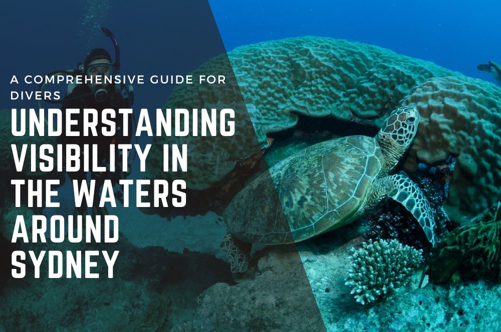 Sydney Diving Guide: Maximize Visibility…