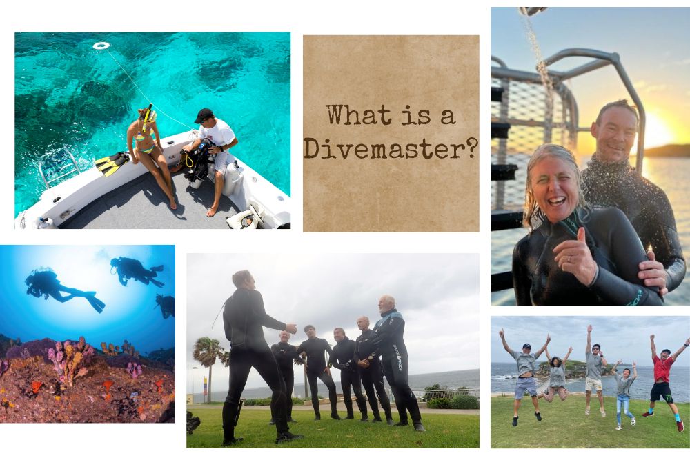 What Is A Divemaster?