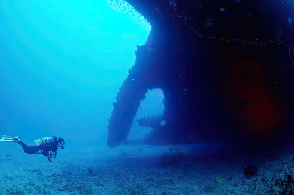 The SS Yongala wreck surrounded by marine creatures