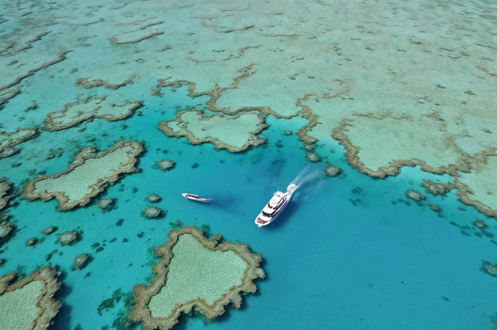 The Great Barrier Reef: Aerial view of the stunning coral formations