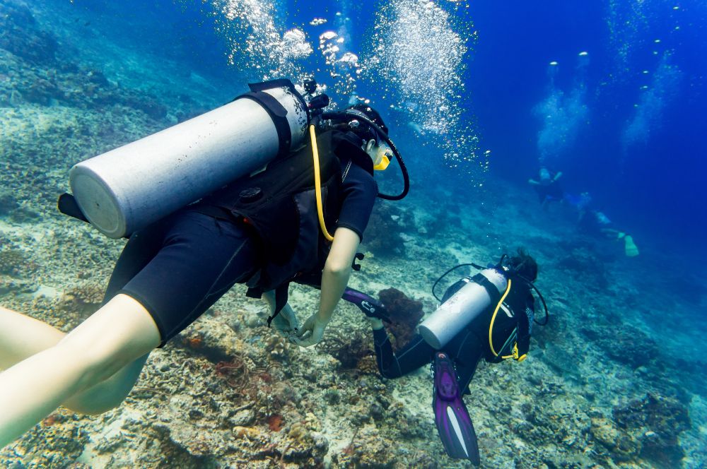 Scuba divers exploring underwater coral reef