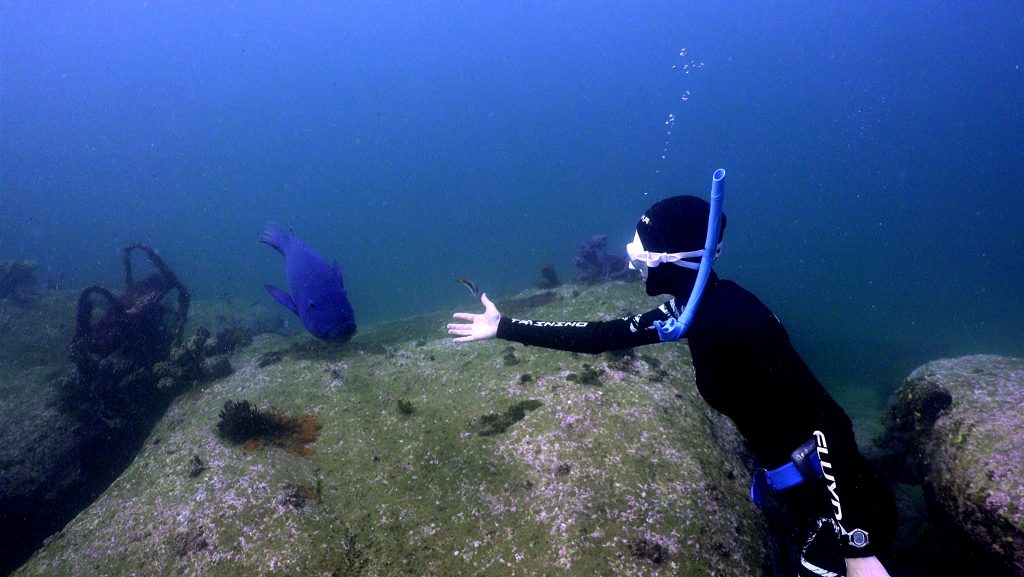 Recreational Freediving And Extreme Freediving