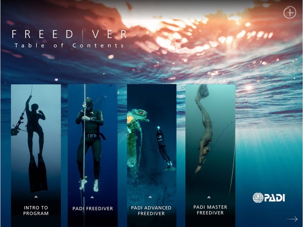 What Is Padi Freediver Touch?