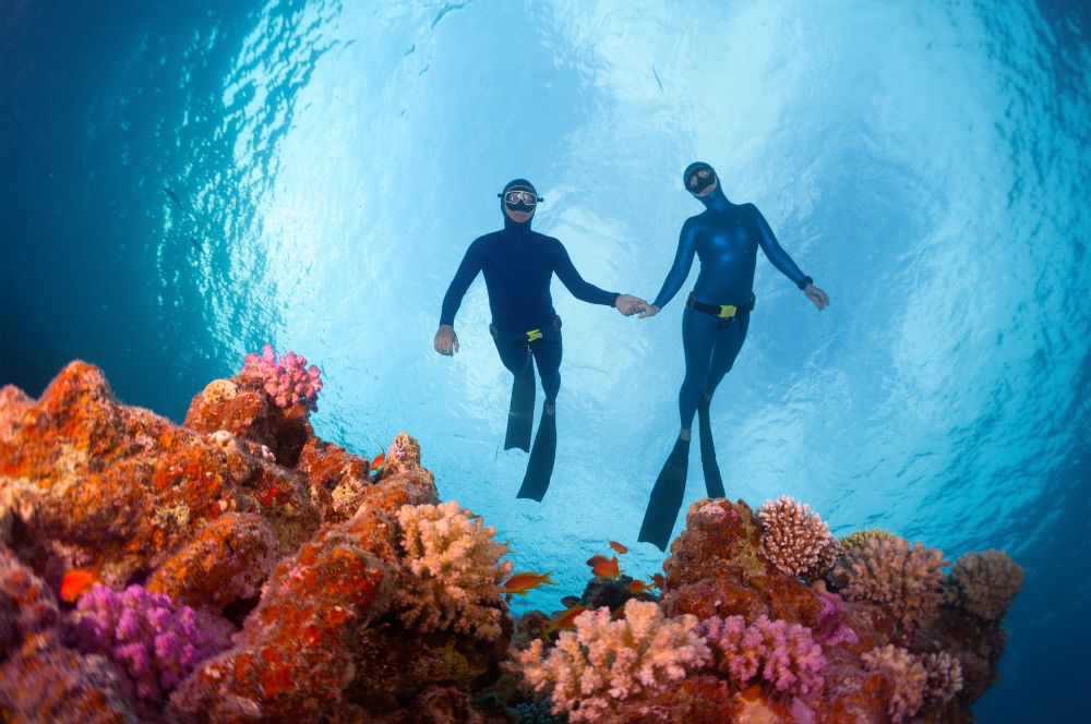 A person diving underwater in a beautiful underwater world