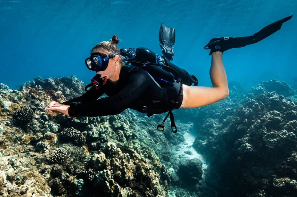 The Avelo Scuba System stands out among recent innovations in diving gear.