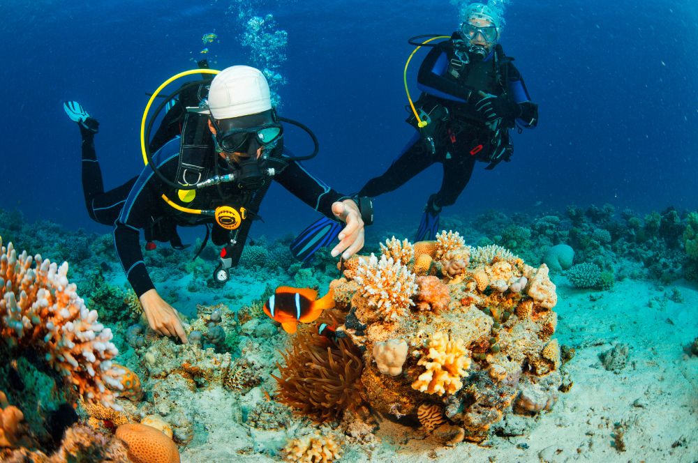 Scuba divers exploring the vibrant marine life at the Great Barrier Reef