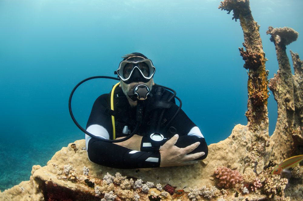Regular diving for optimal health results