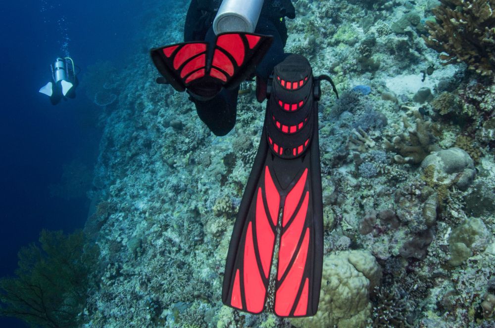 A diver in full gear exploring the ocean floor, representing why become a divemaster with its duration and flexibility.