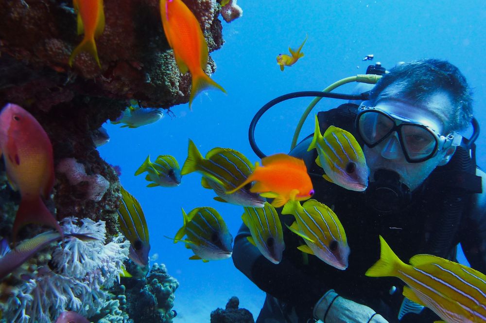 A scuba diver in the ocean, exploring the underwater world with confidence