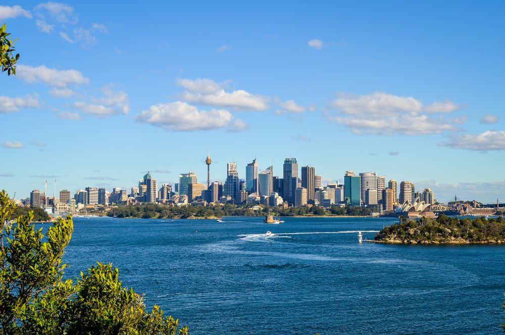 Sydney Harbour vs Botany Bay: Dive…