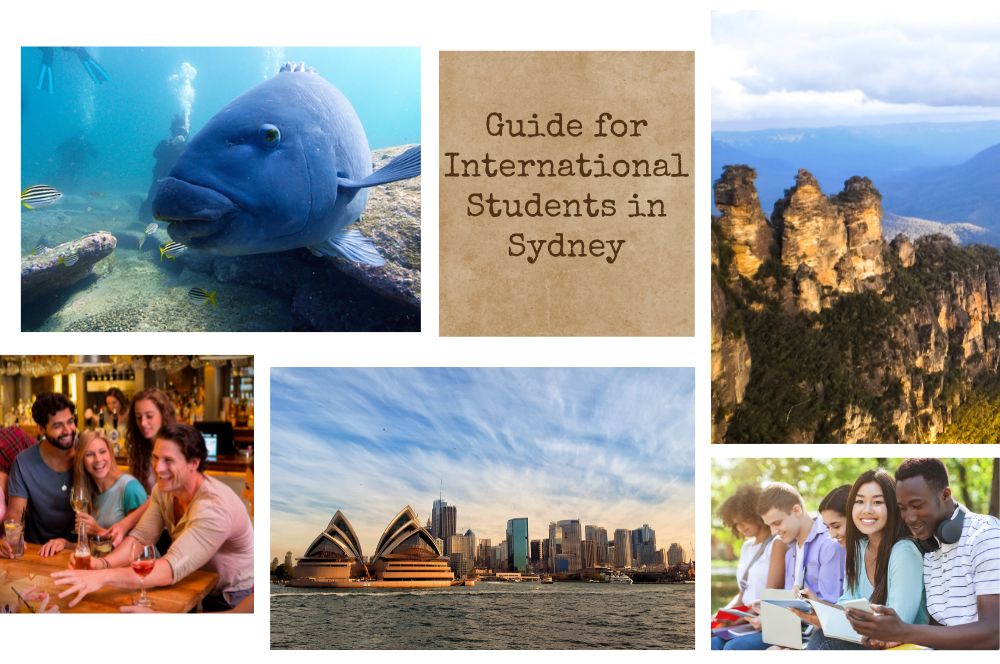 Embracing The Aussie Lifestyle: A Comprehensive Guide For International Students In Sydney