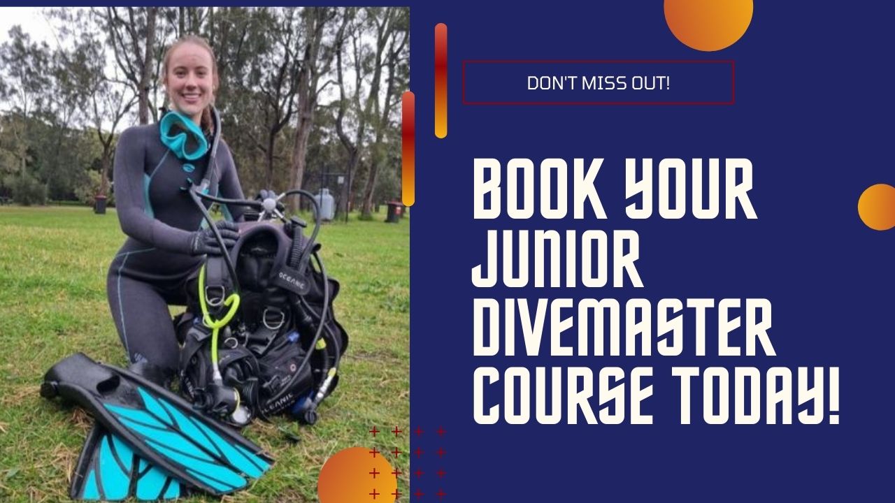 Book Your Junior Divemaster Course Today