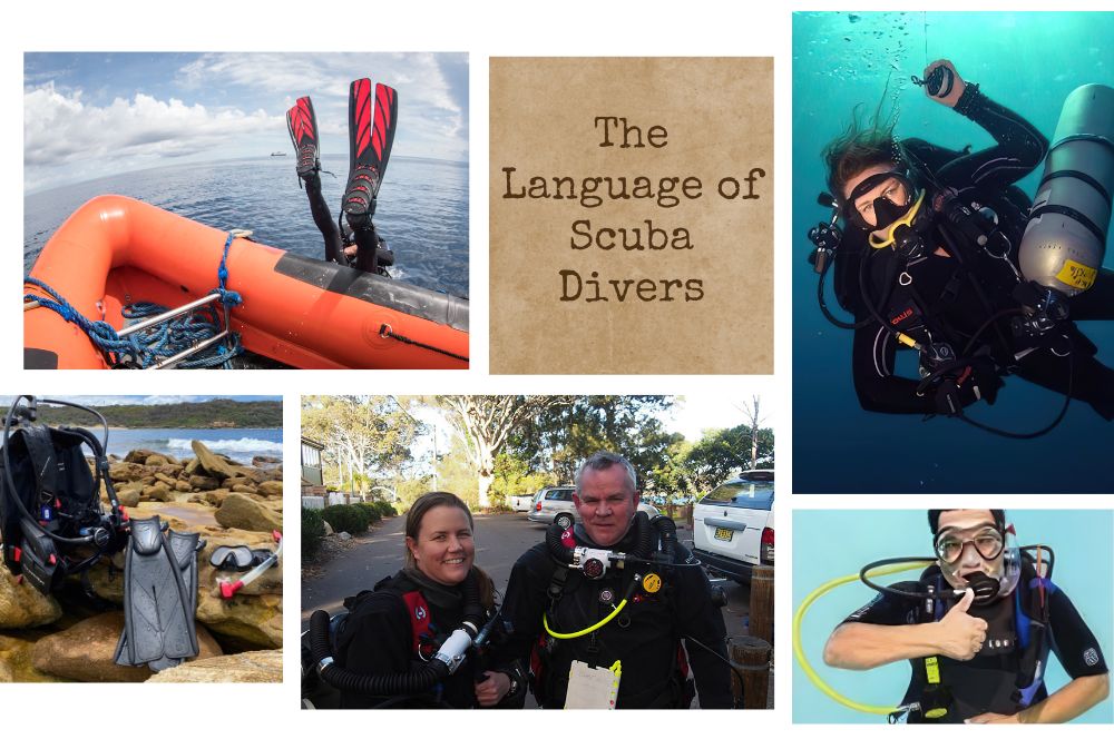 A Deep Dive Into Scuba Slang: Your Guide To Diving Jargon