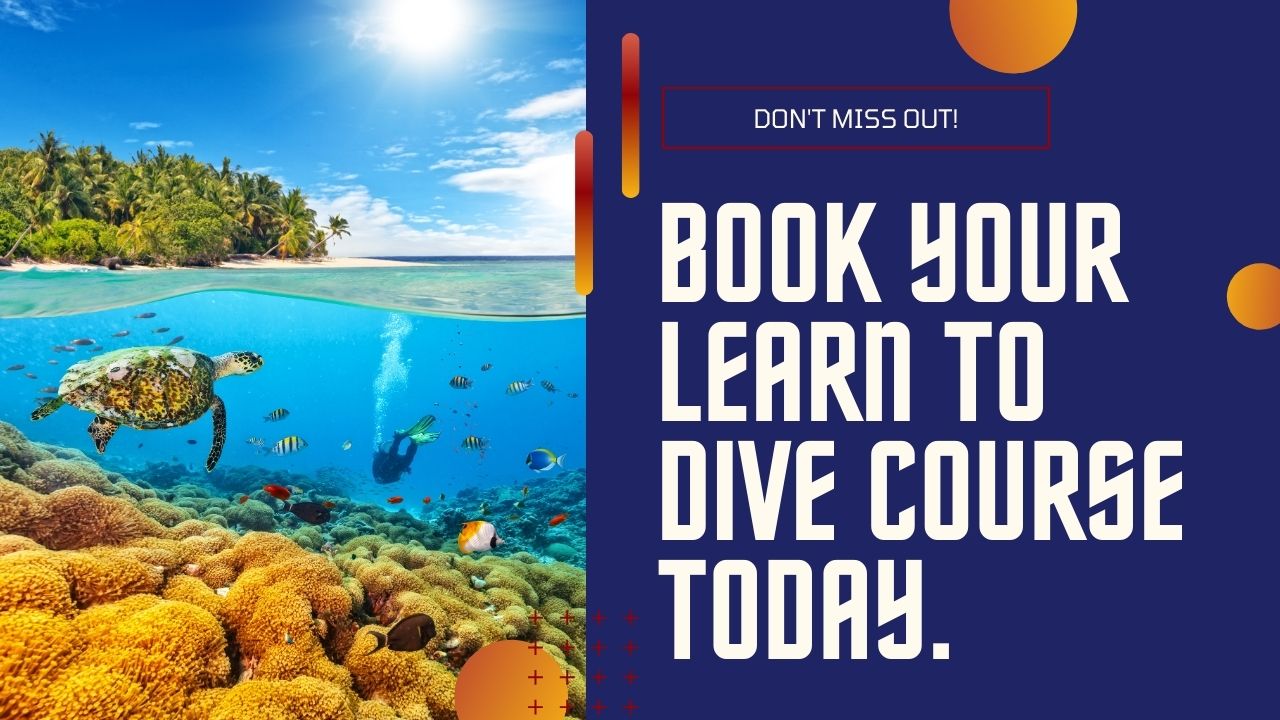 Book your learn to dive course today
