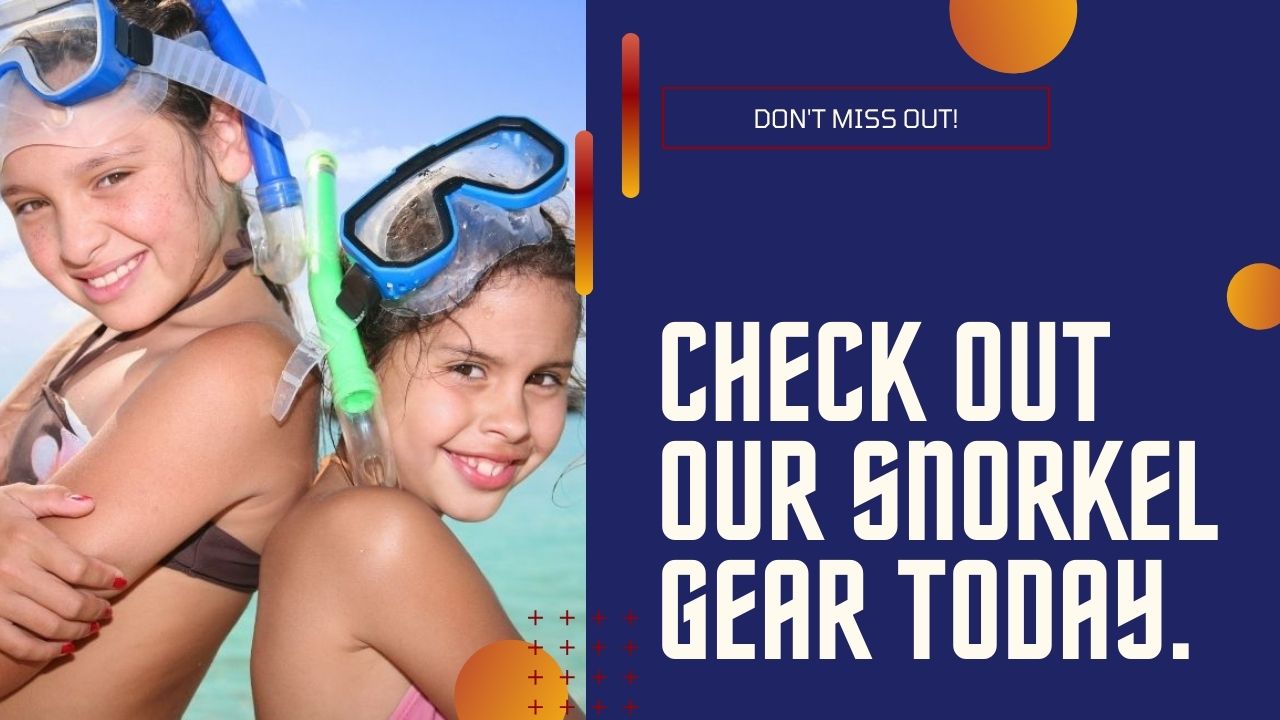 Check out our snorkelling gear today
