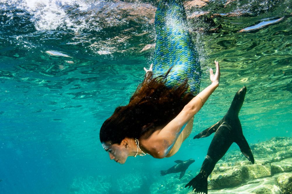 A beautiful mermaid swimming in the ocean swimming with seals