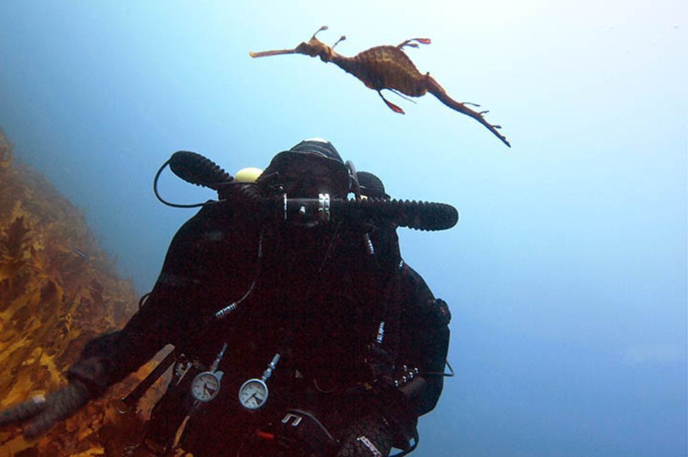 A diver using rebreather technology