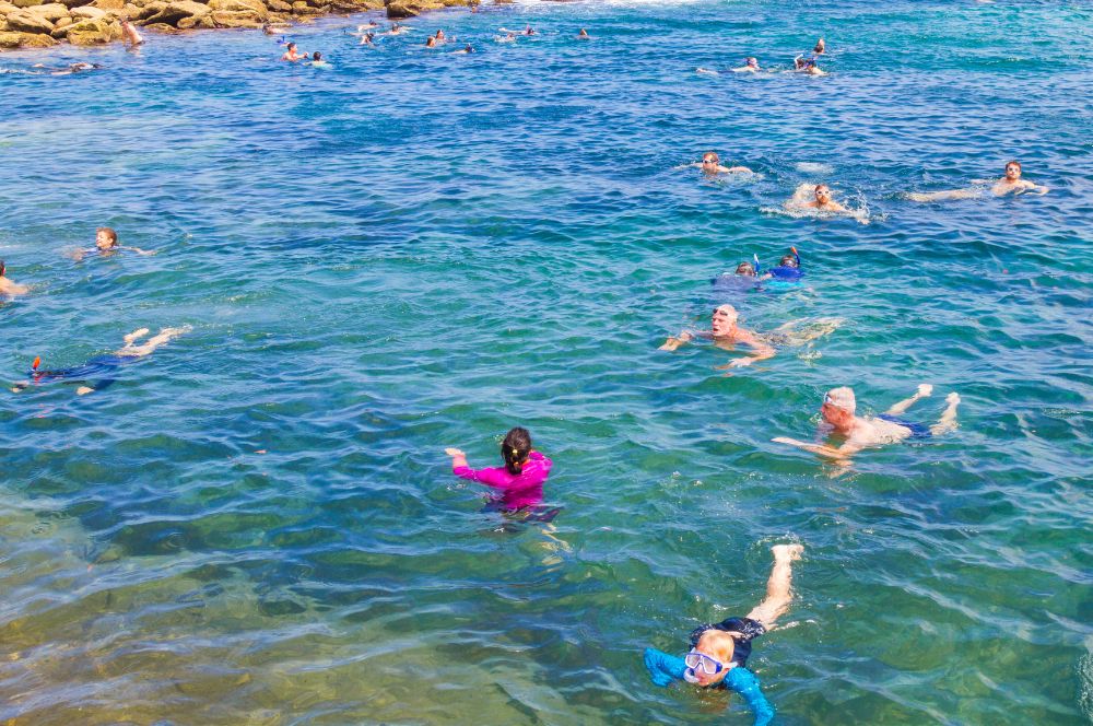 Snorkelers exploring the shallow waters near Bare Island