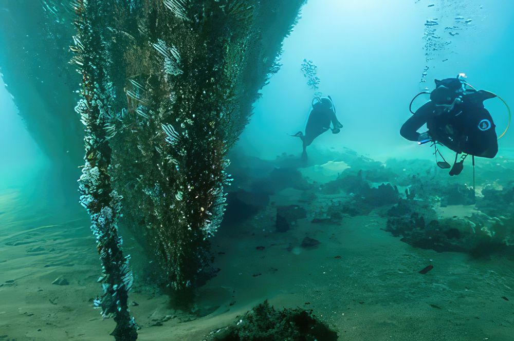 Underwater divers exploring a shipwreck off the coast of Western Australia.