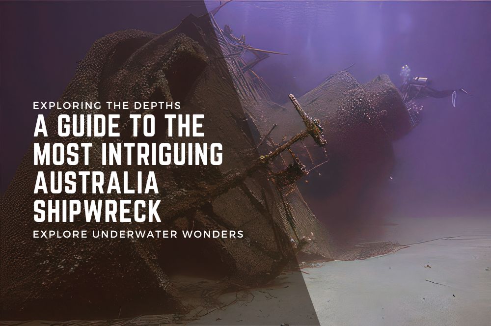 Exploring the Depths: A Guide to the…