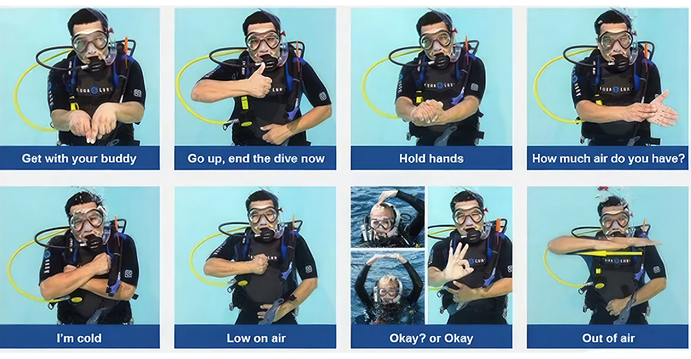 Divers communicating underwater using hand signals