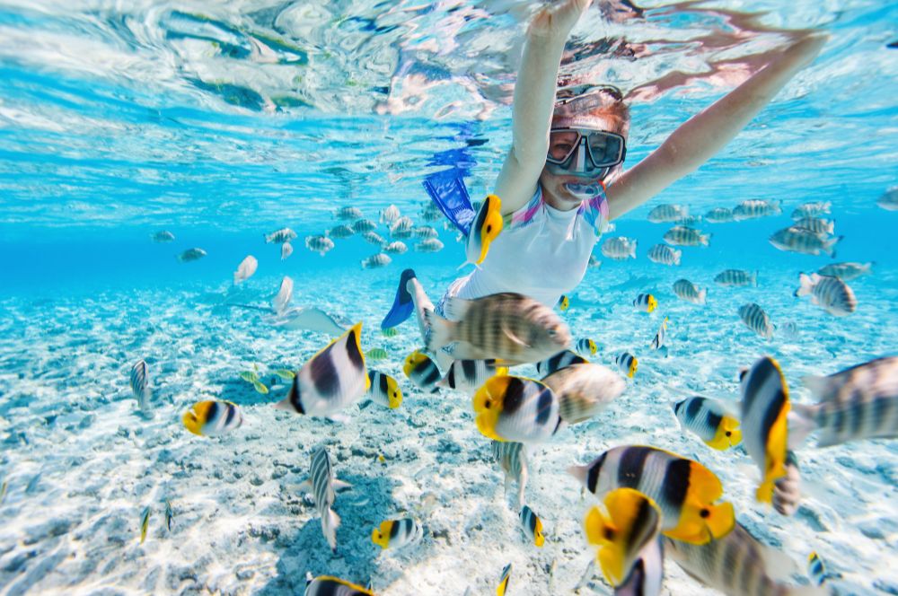 Snorkelling is great for the whole family