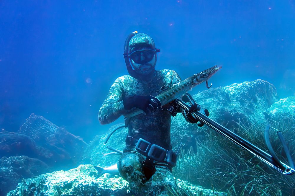 A recreational spearfishers diving underwater in search of reef fish