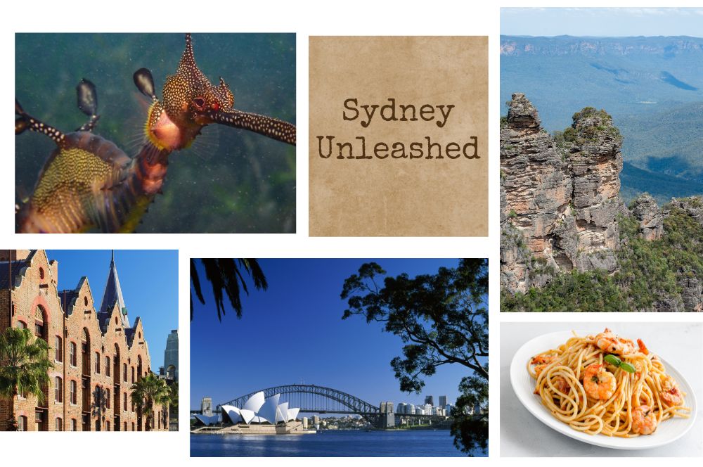 Sydney Unleashed: Maximize Your Business Trip In Sydney