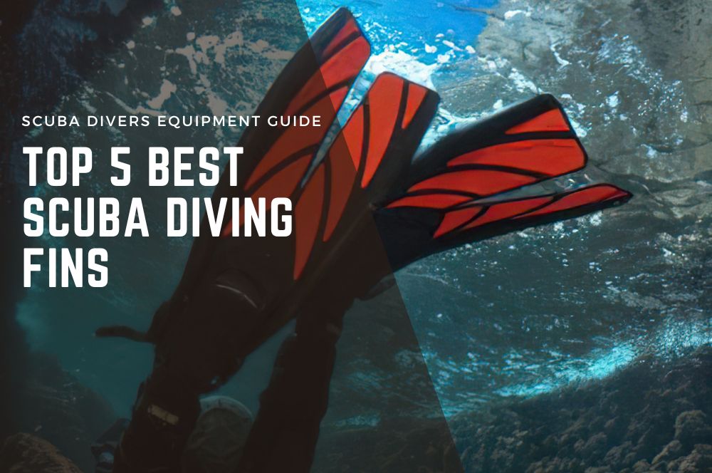 Top 5 Best Scuba Diving Fins In Australia (2024)