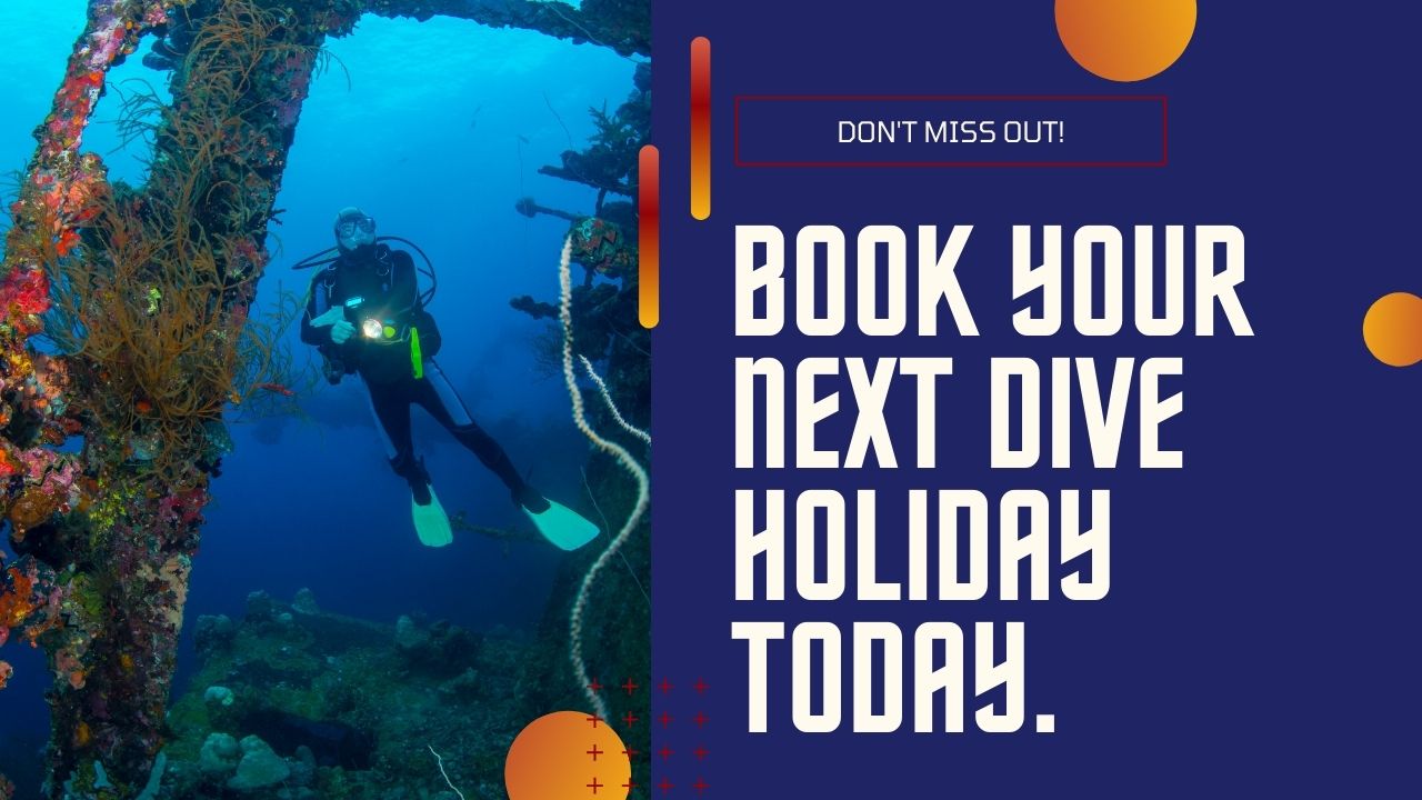 BOOK A DIVE HOLIDAY