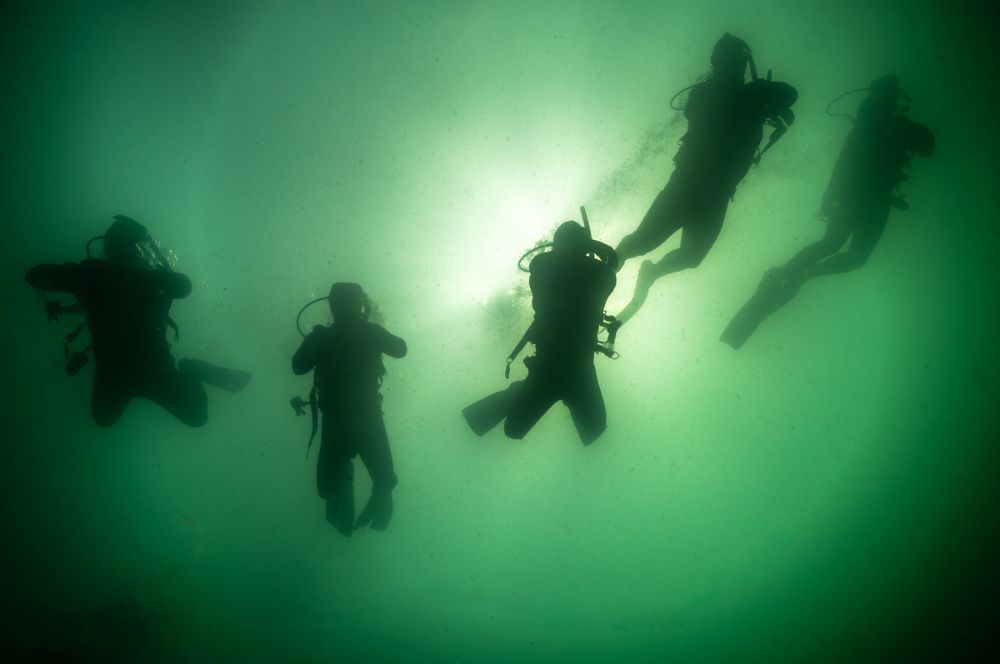 Divers exploring the underwater world in low visibility conditions in Sydney