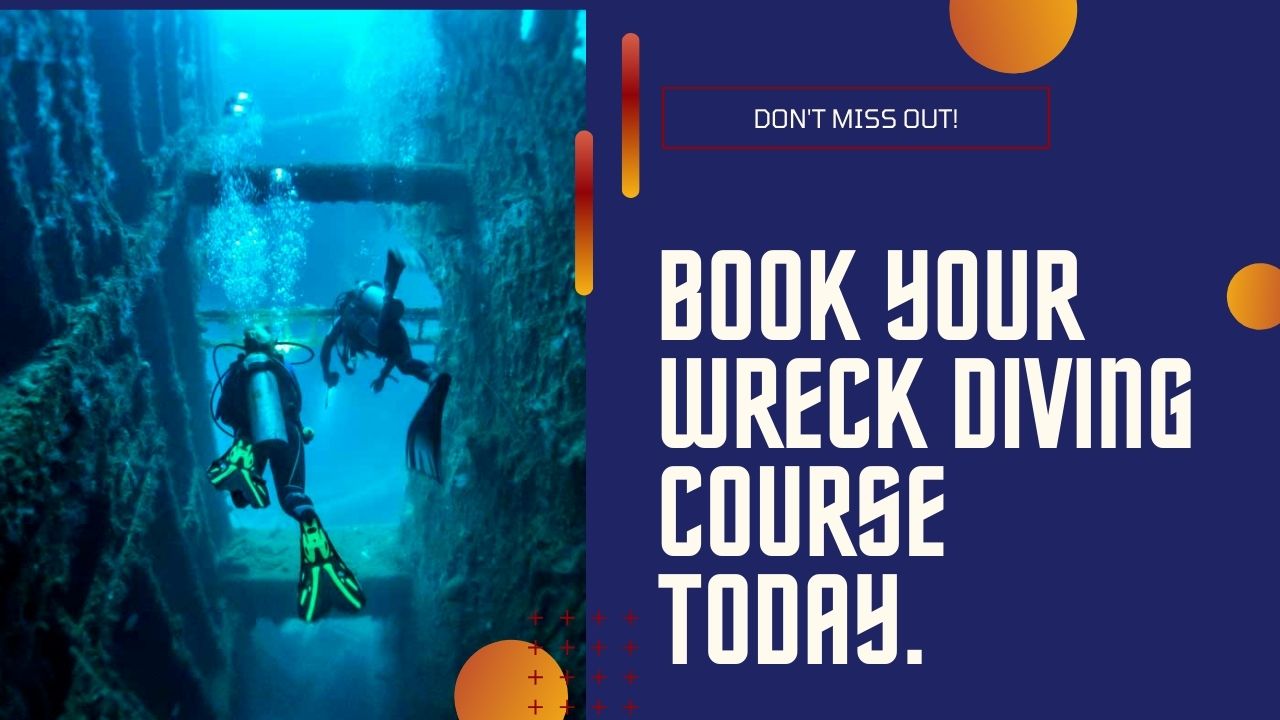 Book a PADI Wreck Diver Course