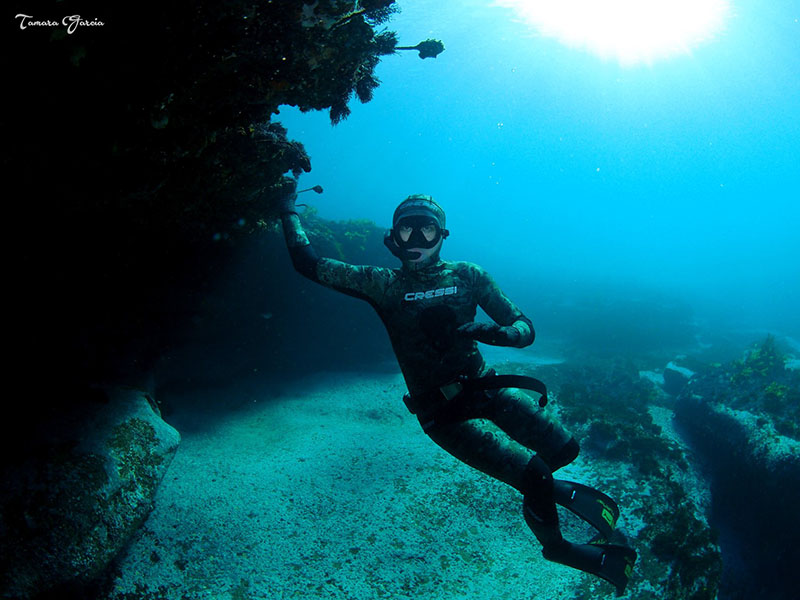 An image showing a person diving underwater without any breathing apparatus, representing the essence of what is freediving