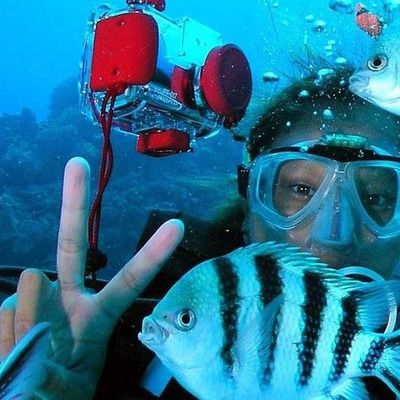 Dive Holidays for beginner divers