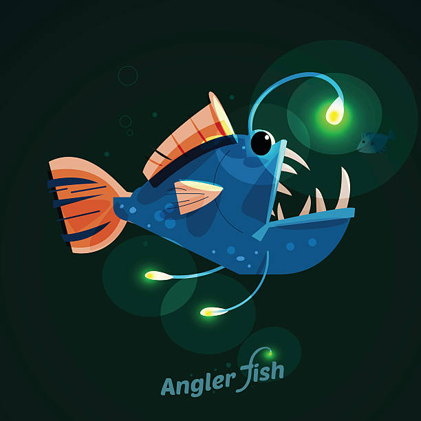 Anglar Fish